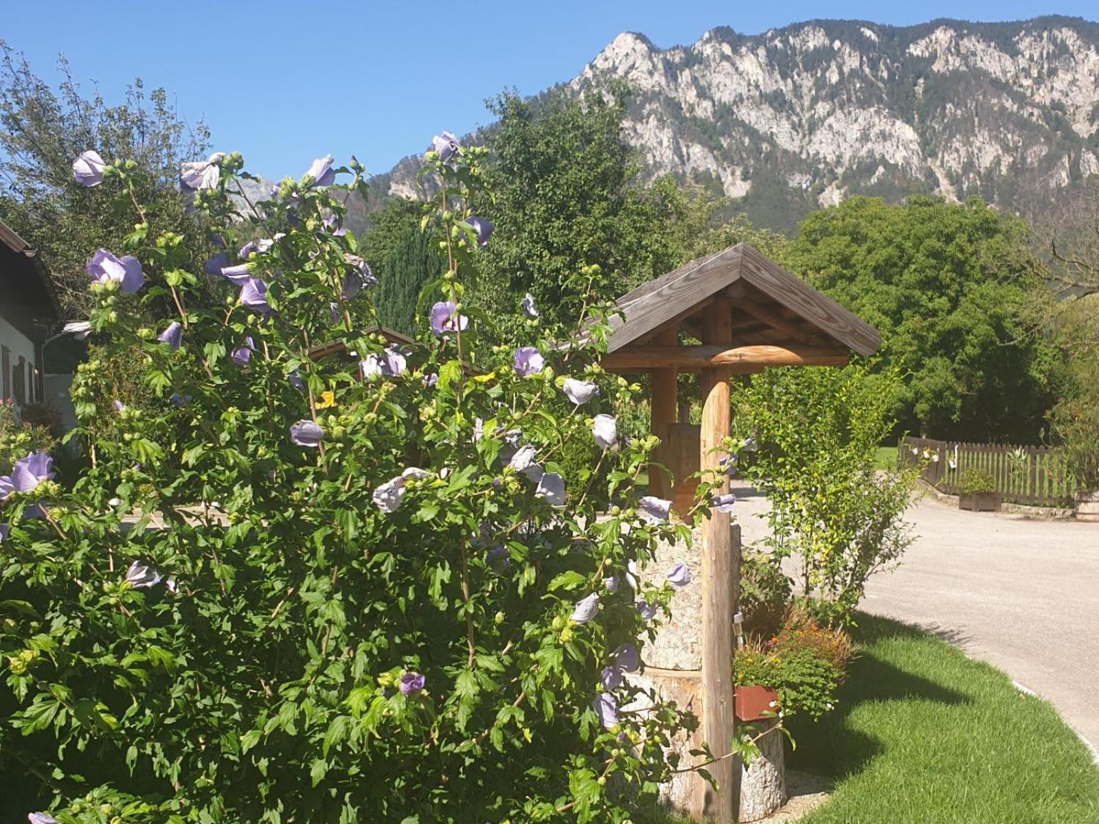 Familie Stoier Villa Reichenau Exterior foto